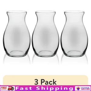 3 Pack Clear Glass Pot Belly Floral Vases